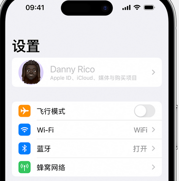 济阳appleID维修服务iPhone设置中Apple ID显示为灰色无法使用