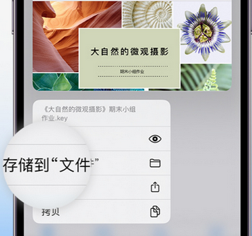 济阳apple维修中心分享iPhone文件应用中存储和找到下载文件