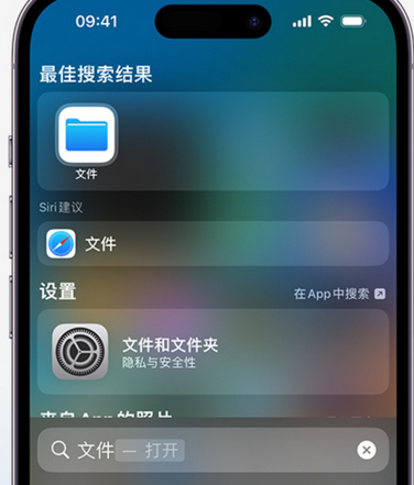 济阳apple维修中心分享iPhone文件应用中存储和找到下载文件 