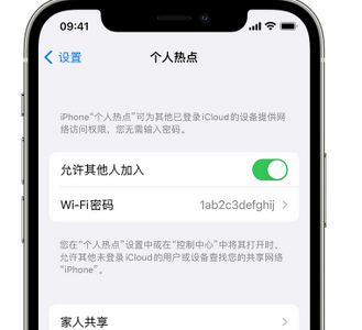 济阳apple服务站点分享iPhone上个人热点丢失了怎么办