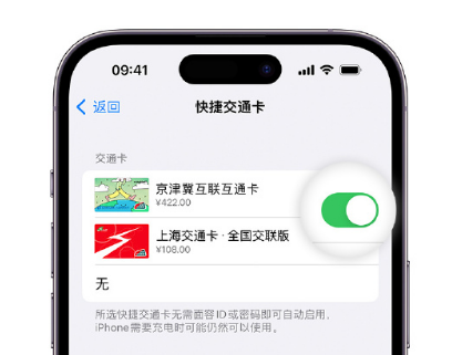 济阳apple维修点分享iPhone上更换Apple Pay快捷交通卡手绘卡面 