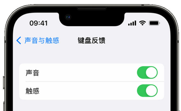 济阳苹果手机维修分享iPhone 14触感键盘使用方法 