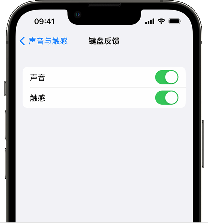 济阳苹果14维修店分享如何在 iPhone 14 机型中使用触感键盘 