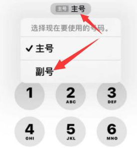 济阳苹果14维修店分享iPhone 14 Pro Max使用副卡打电话的方法 