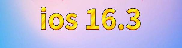 济阳苹果服务网点分享苹果iOS16.3升级反馈汇总 