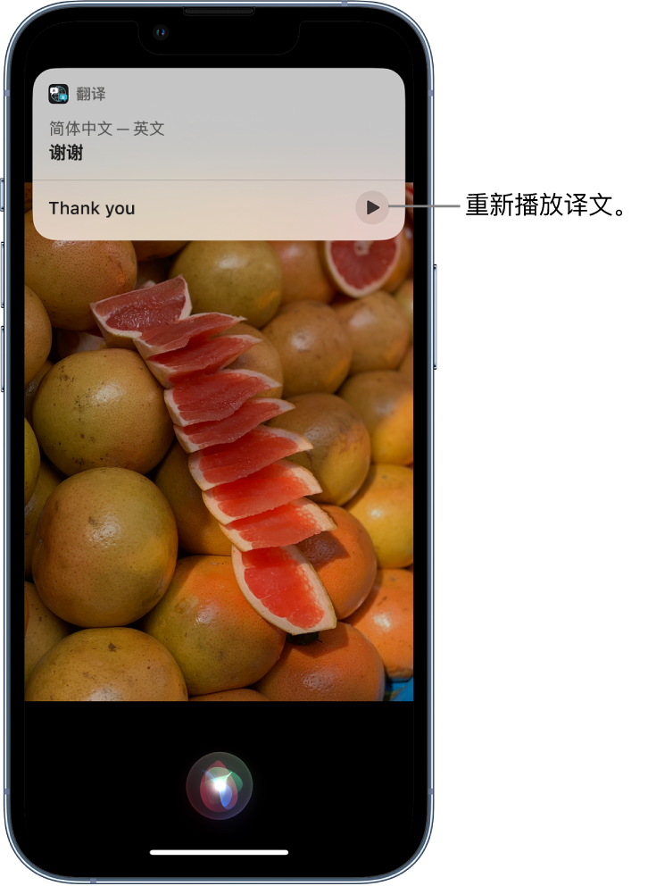 济阳苹果14维修分享 iPhone 14 机型中使用 Siri：了解 Siri 能帮你做什么 