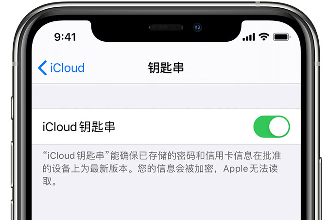 济阳苹果手机维修分享在 iPhone 上开启 iCloud 钥匙串之后会储存哪些信息 