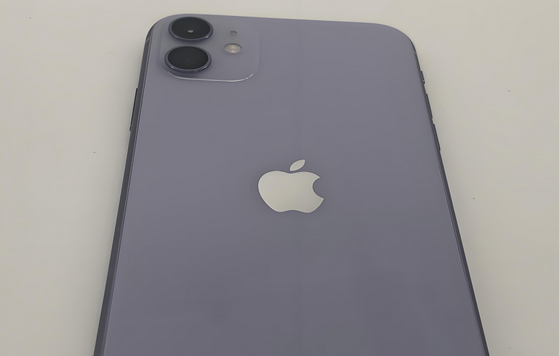 济阳苹果11系统维修分享iPhone11手机系统崩溃无法开机如何解决 